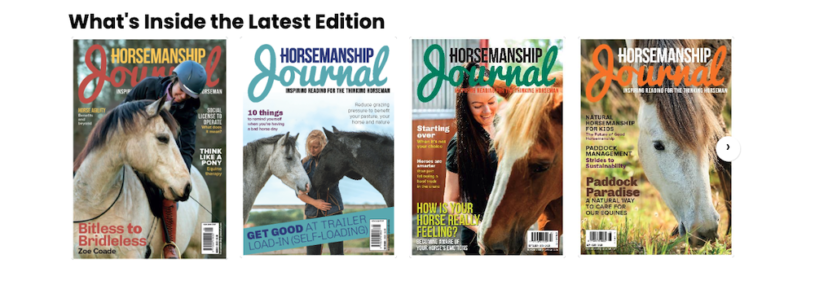 20-examples-of-course-and-membership-websites-to-inspire-you